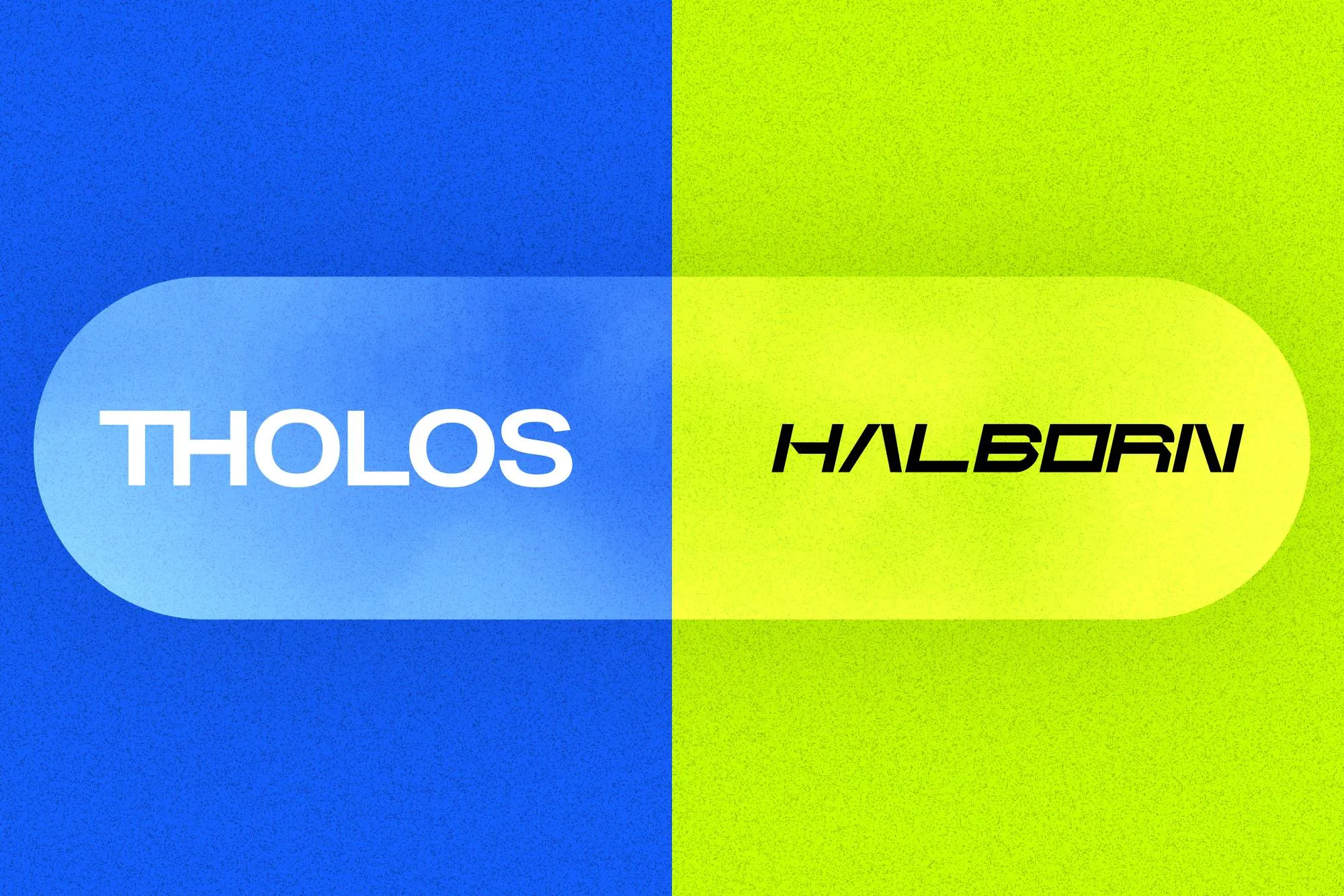 Tholos and Halborn: Forging New Frontiers in Web3 Security